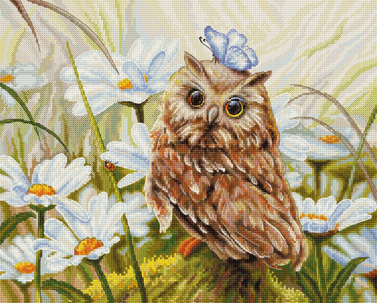 Lucky Owl Counted Cross Stitch Kit Luca-S - B7011